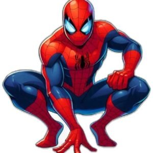 Spiderman Heat Transfer Patch for Kids Superhero Iron On Sticker