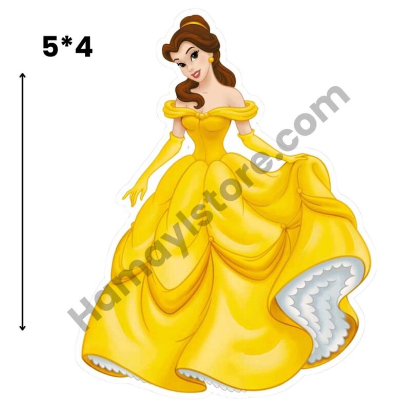 Princess Belle Iron On Patch 2026 waterproof heat transfer design for girls dresses Pakistan