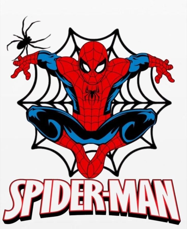 Spider-Man Web Patch – P10108